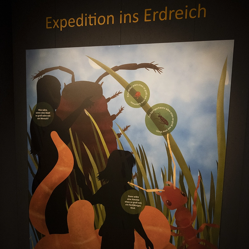 Expedition Erde Ausstellung