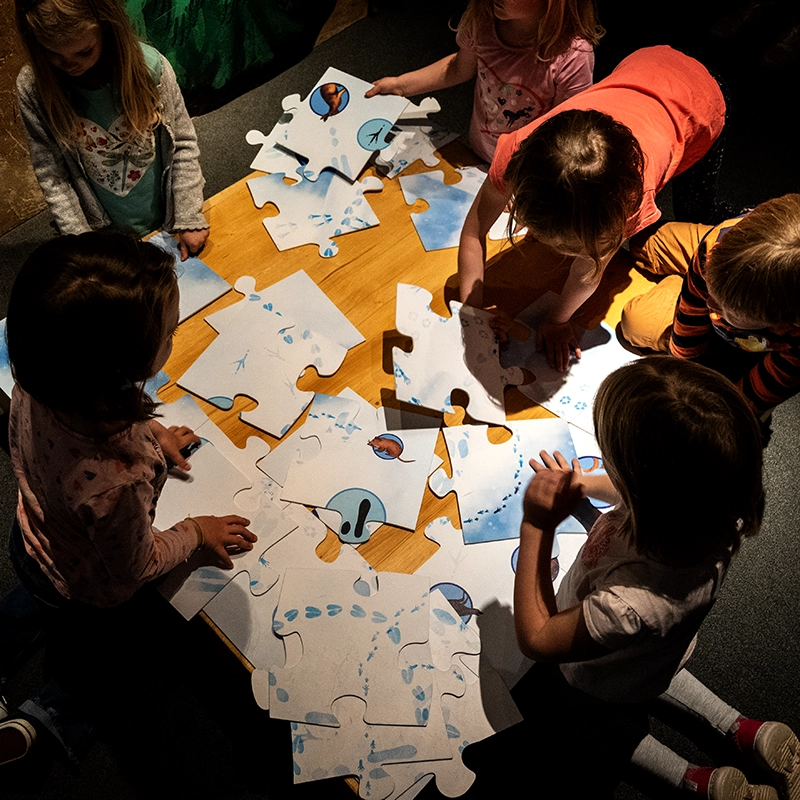 Tierspuren-Bodenpuzzle - Grüffelo Ausstellung