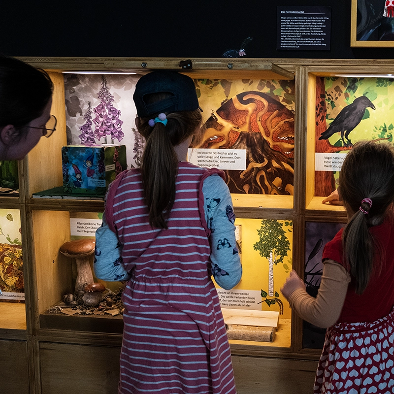 Detail der Waldwunderkammer - Grüffelo Ausstellung