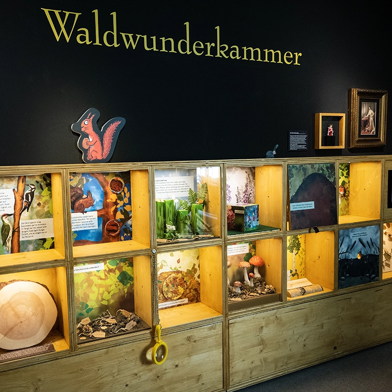 Detail der Waldwunderkammer - Grüffelo Ausstellung